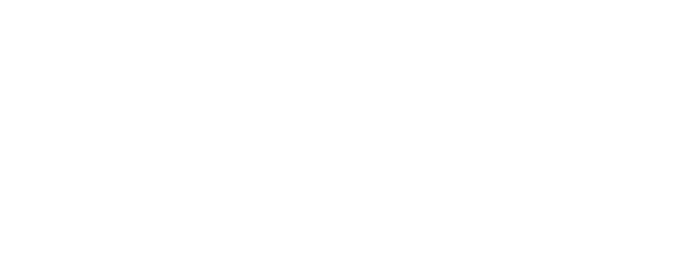 CHMS Logo